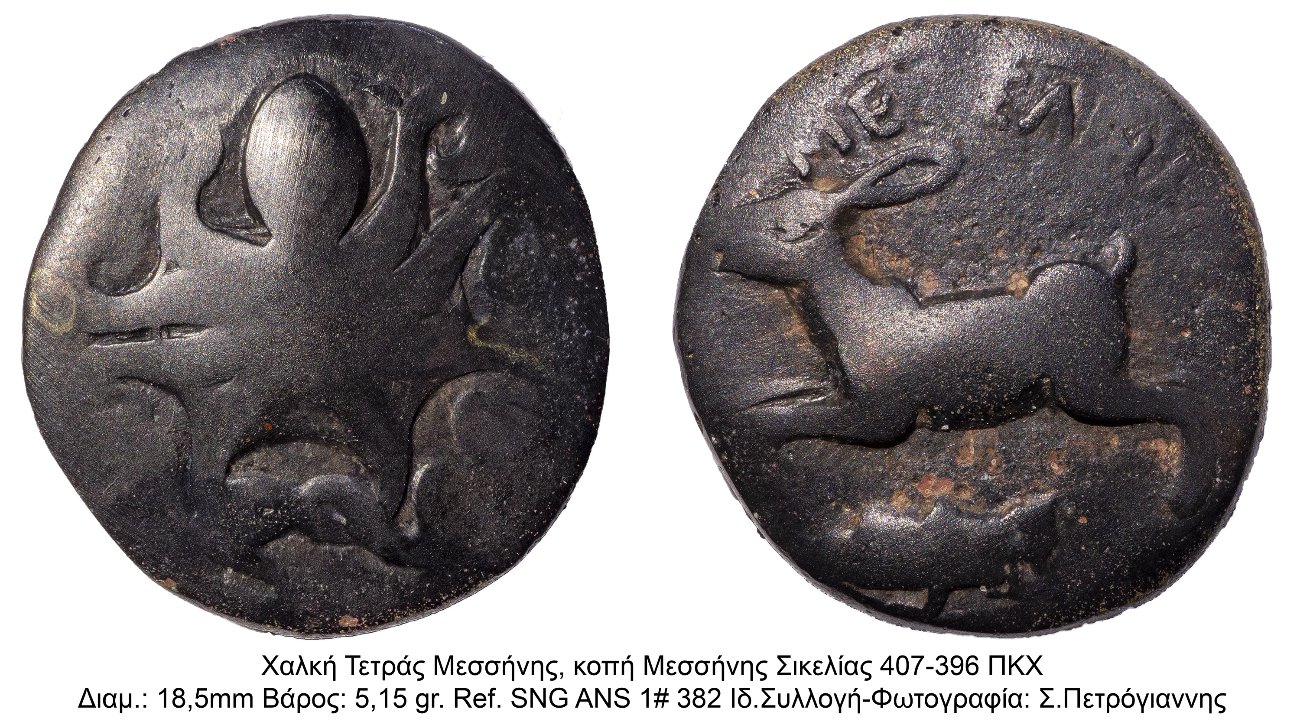 My-First-Animal-On-A-Coin.