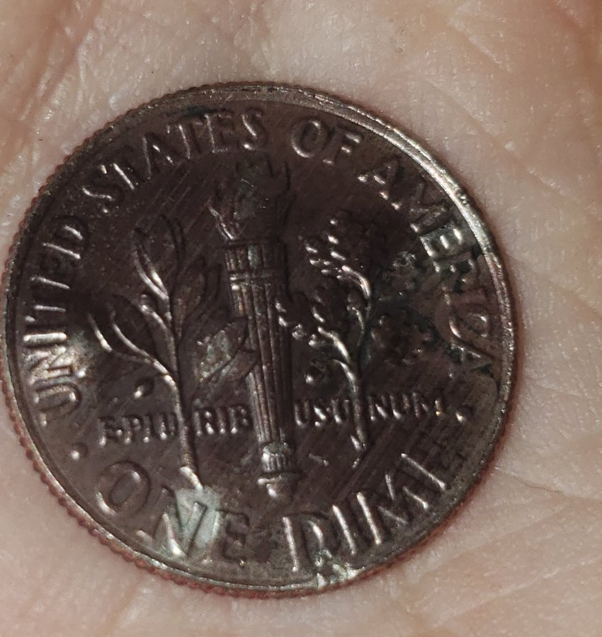 2020-D-Dime-Possible-Error