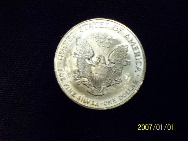 American-Silver-Eagle-Puzzle