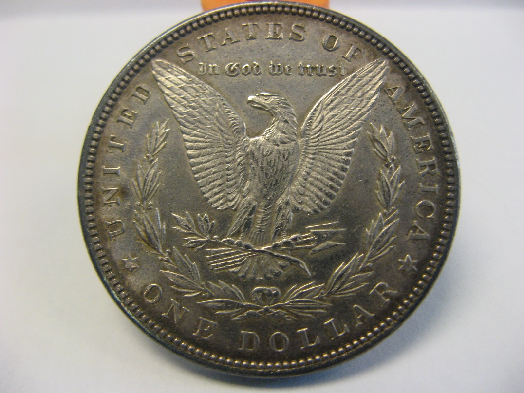 1889-Silver-Morgan-Grading-Help