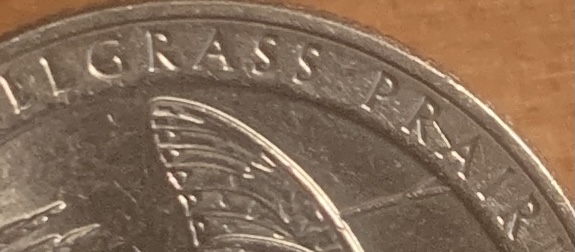 2020-D-Tallgrass-Error-Quarter