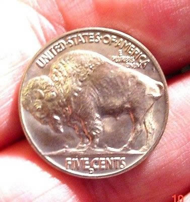 Buffalo-Nickels-Grade-Opinions?