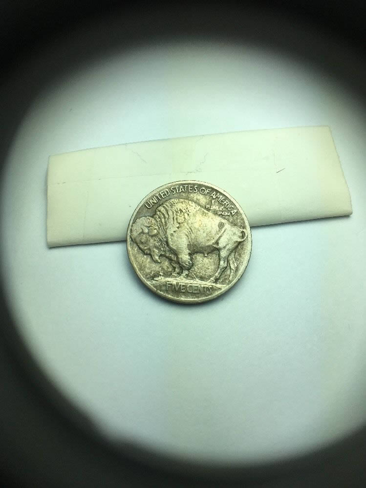 Buffalo-Nickels-For-Grading