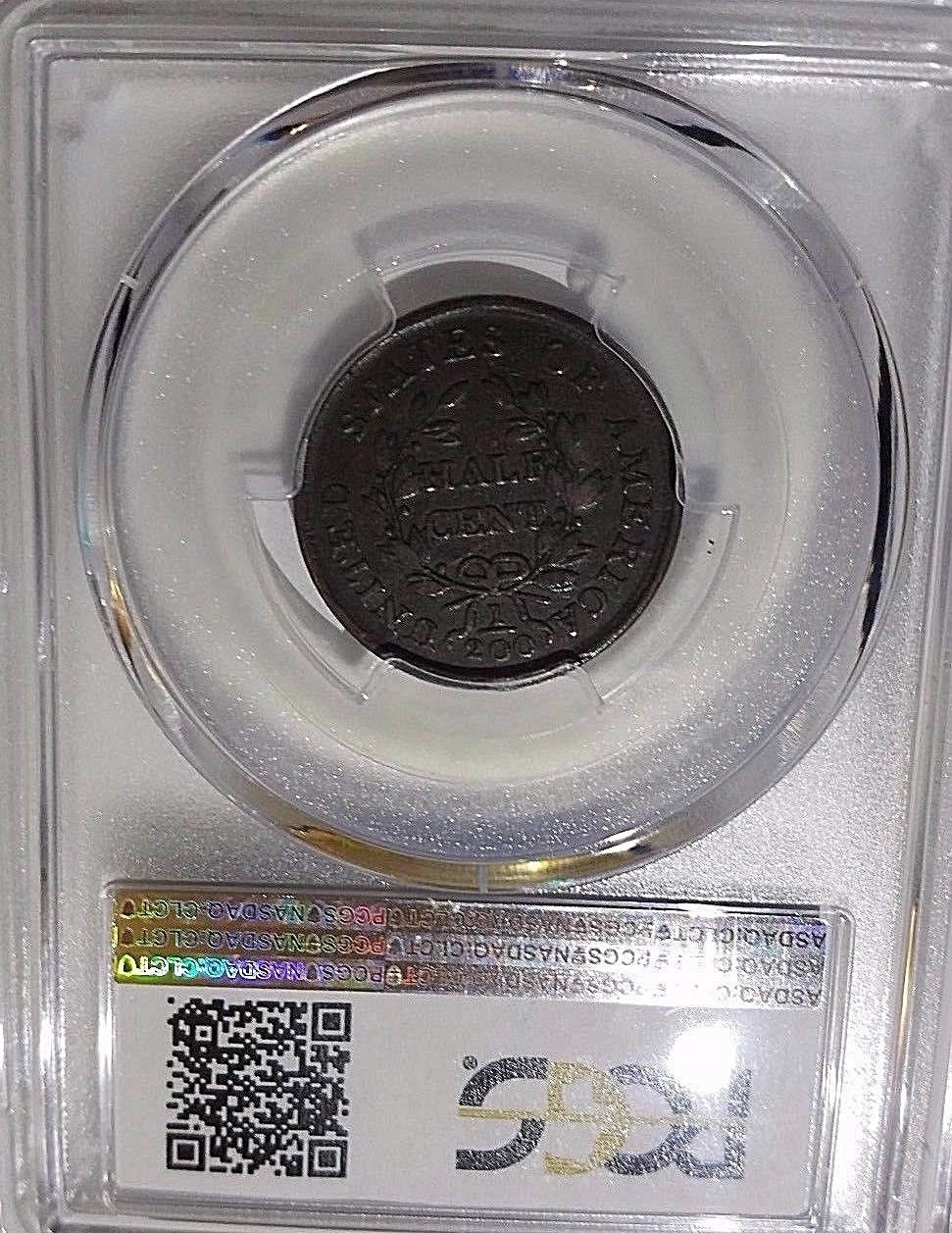 Draped-Half-Cent-&-Braided-Half-Cent-Opinions-Needed!