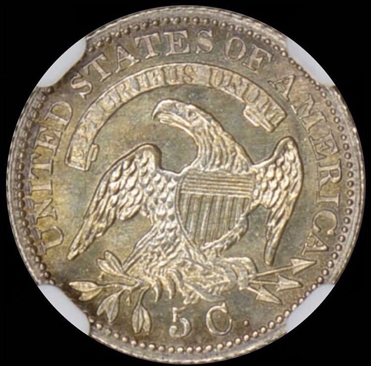 Capped-Bust-Half-Dime-Grade-You-Vs-NGC