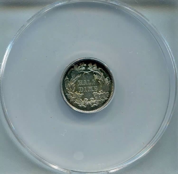 Seated-Half-Dimes-For-Grading-Vs-TPGs