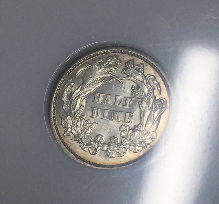 Seated-Half-Dimes-For-Grading-Vs-TPGs