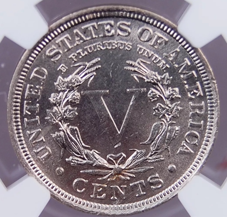 Some-V-Nickels-For-Grading