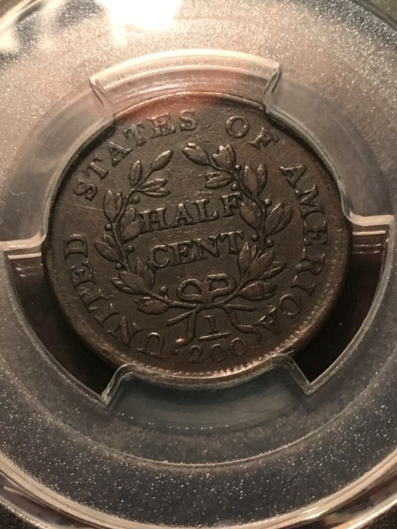 1804-Spiked-Chin-Draped-Bust-Half-Cent-Vs-TPG