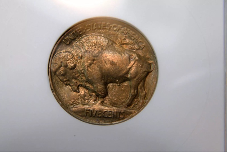 Type-1-Buffalo-For-Grading-Vs-TPG