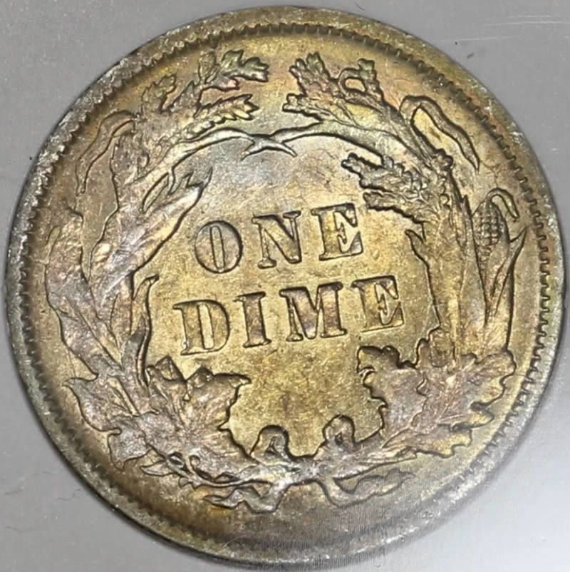 1891-Seated-Dime-You-Vs-TPG