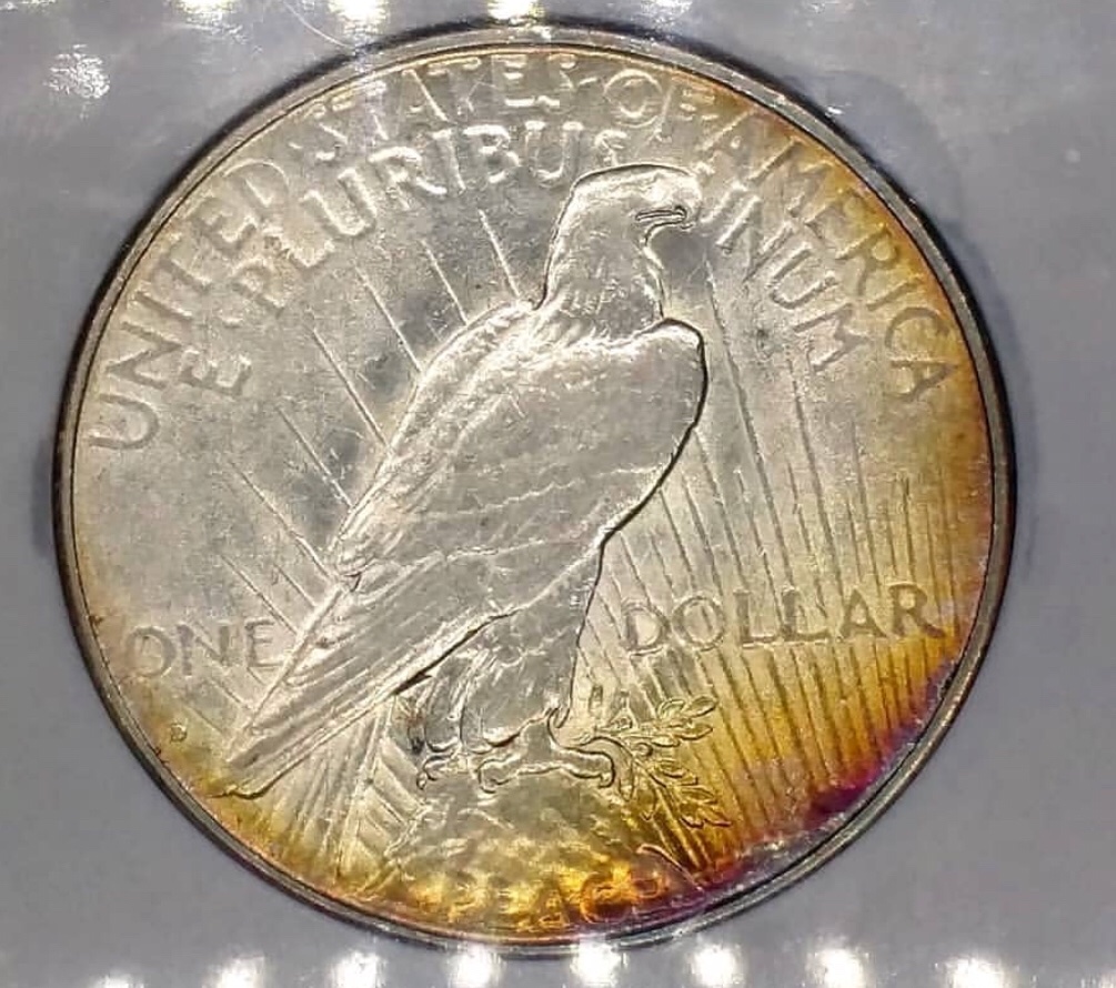 1934-D-Peace-Dollar-For-Grading