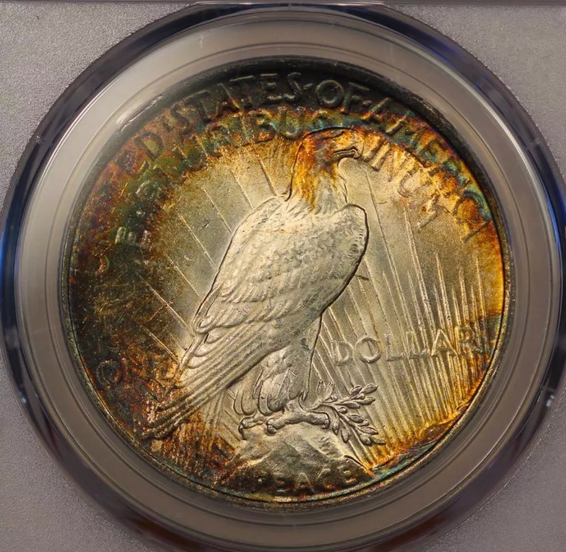 1922-Peace-Dollar-For-Grading
