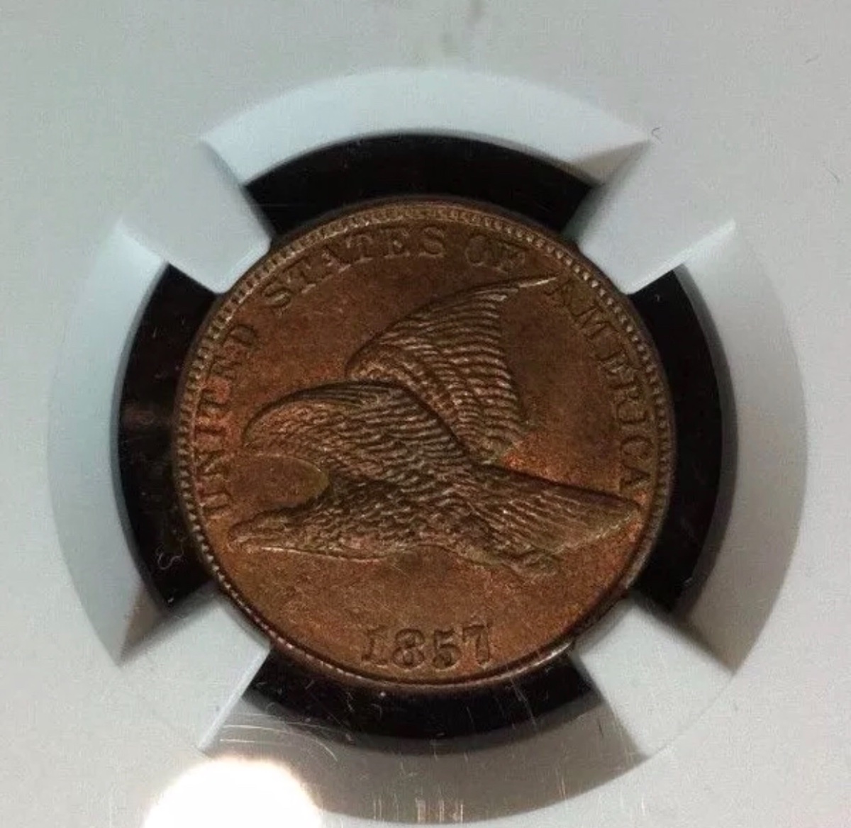 1857-Flying-Eagle-Cent-For-Grading