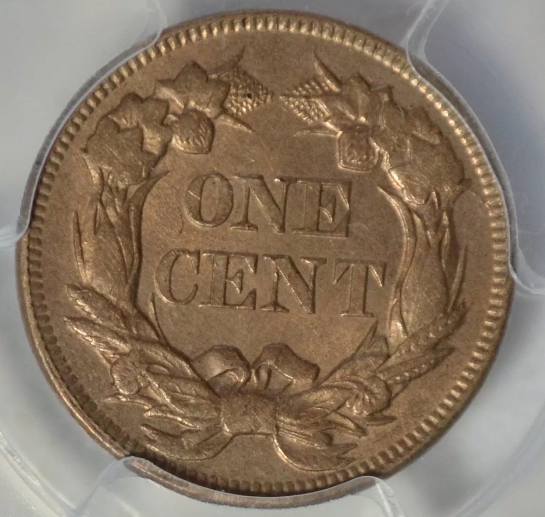 Two-Flying-Eagle-Cents-You-Vs-TPGs-#2