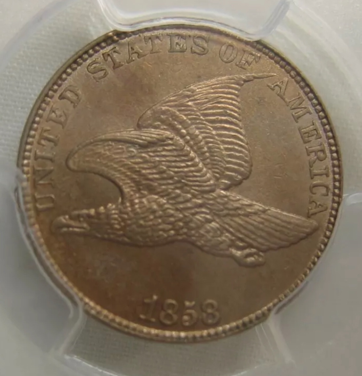Two-Flying-Eagle-Cents-You-Vs-TPGs-#2