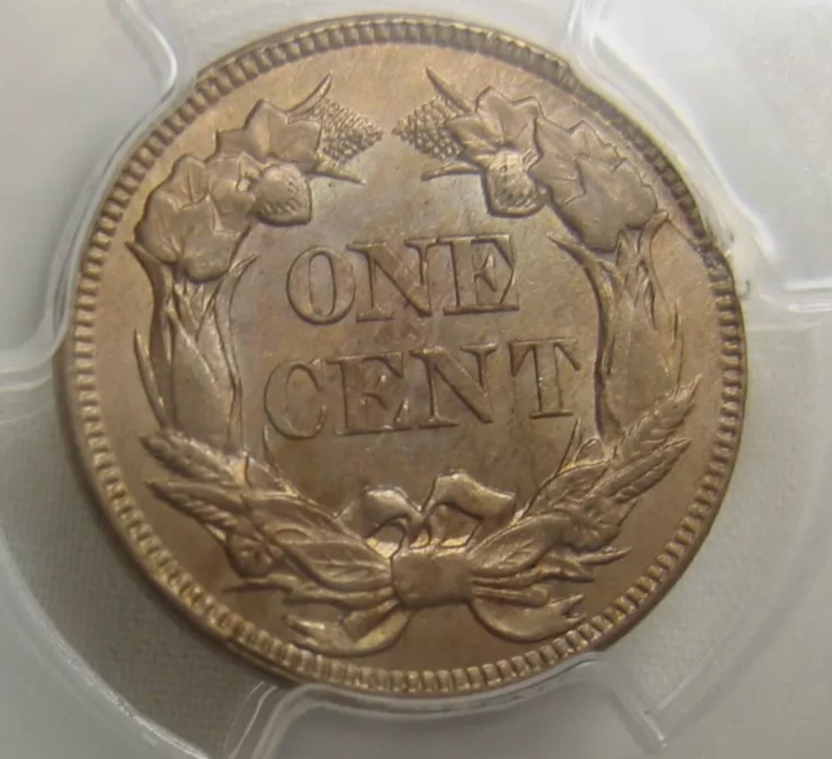Two-Flying-Eagle-Cents-You-Vs-TPGs-#2