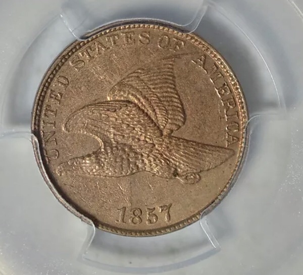 Two-Flying-Eagle-Cents-You-Vs-TPGs-#2