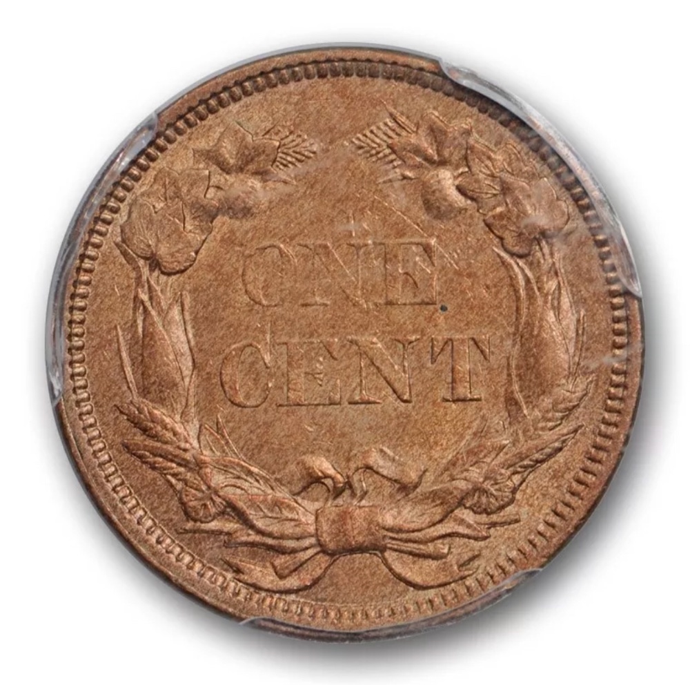 1858-Flying-Eagle-Cents-For-Grading