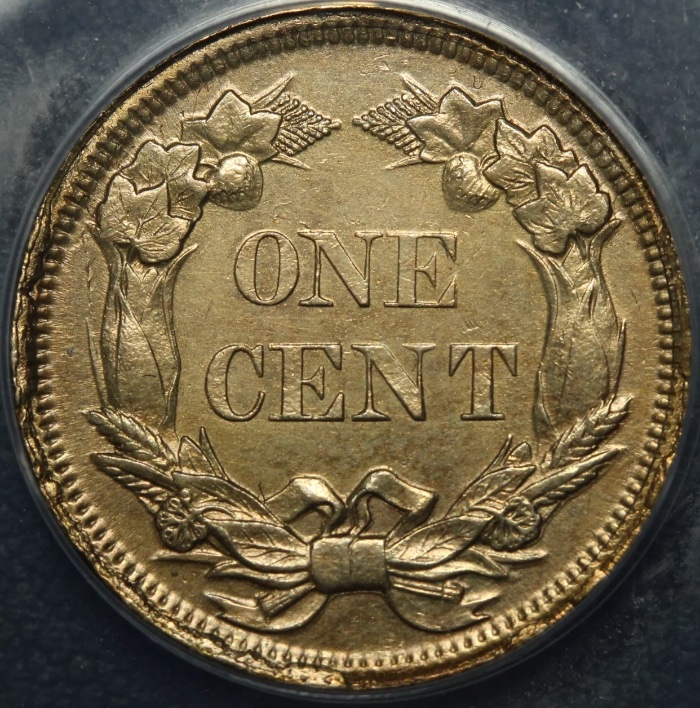 1858-Flying-Eagle-Cents-For-Grading