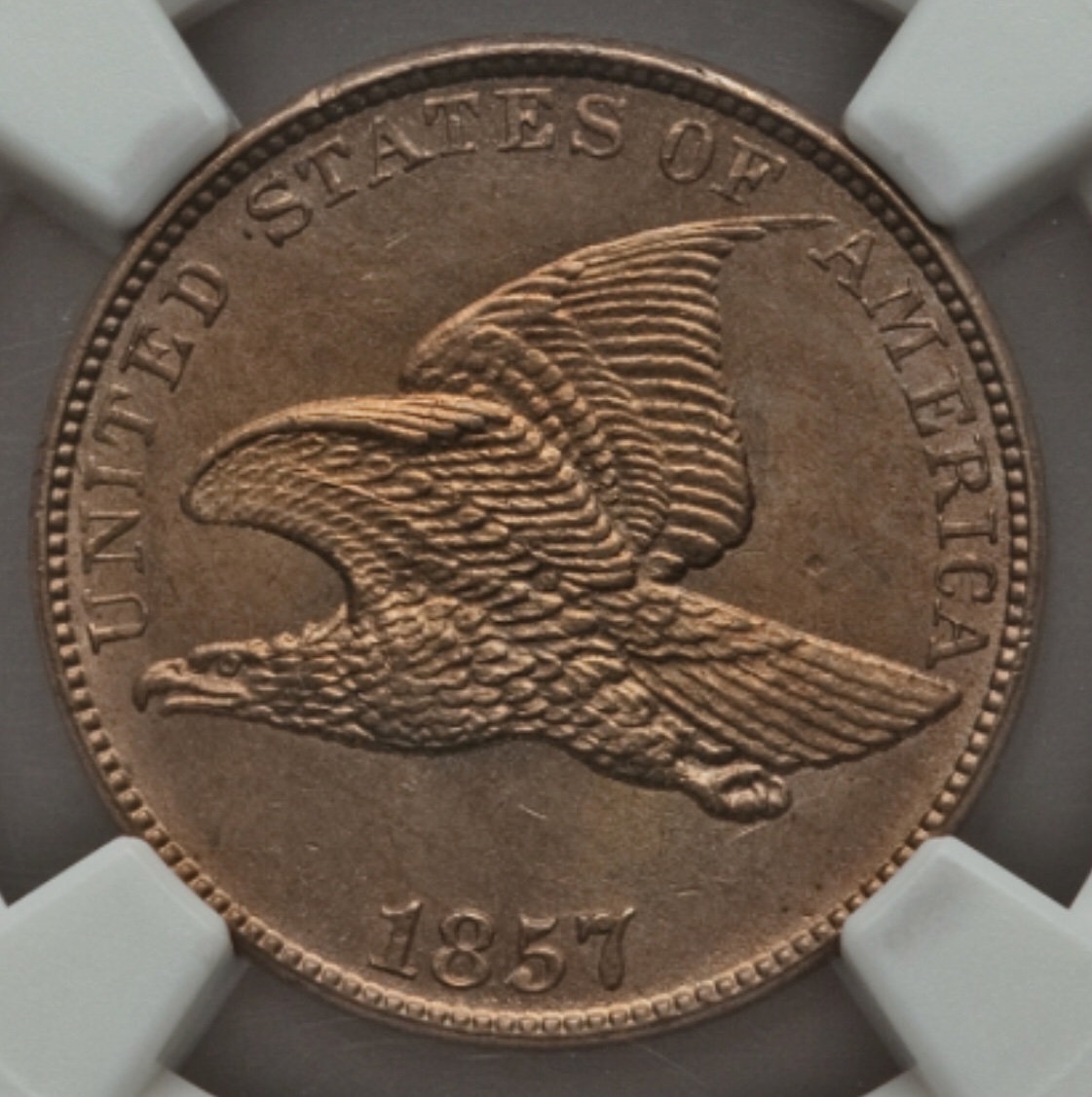 57-Flying-Eagle-Grade-Vs-NGC