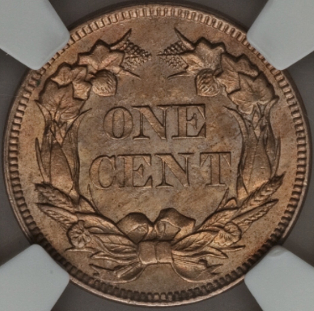 57-Flying-Eagle-Grade-Vs-NGC