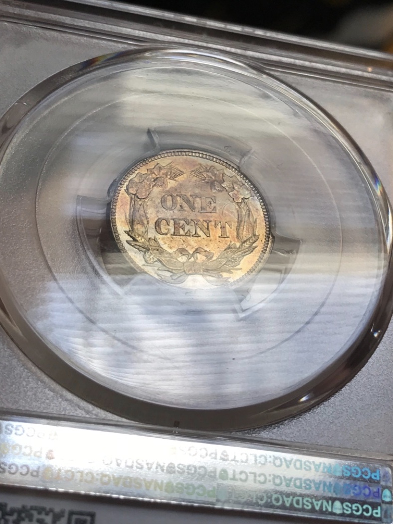 1858-Flying-Eagle-Cent-You-Vs-PCGS