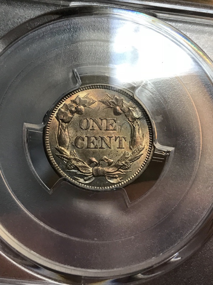 1858-Flying-Eagle-Cent-You-Vs-PCGS