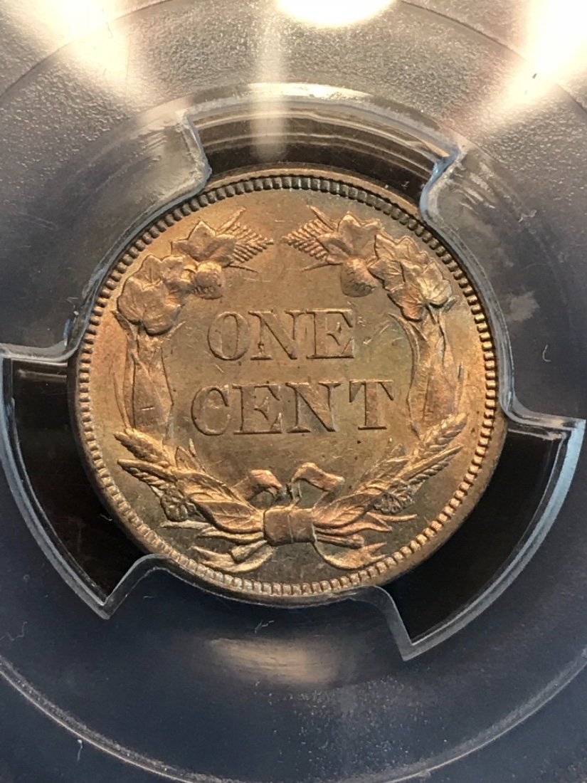 1858-Flying-Eagle-Cent-You-Vs-PCGS