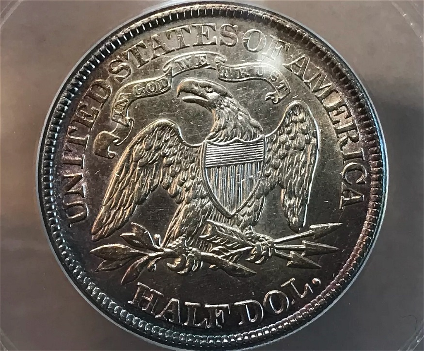 1876-Seated-Half-Dollar-For-Grading-Vs-TPG