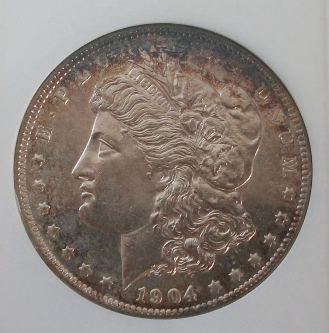 Morgan-Silver-Dollar-You-Vs-TPG