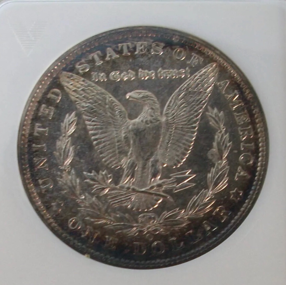 Morgan-Silver-Dollar-You-Vs-TPG