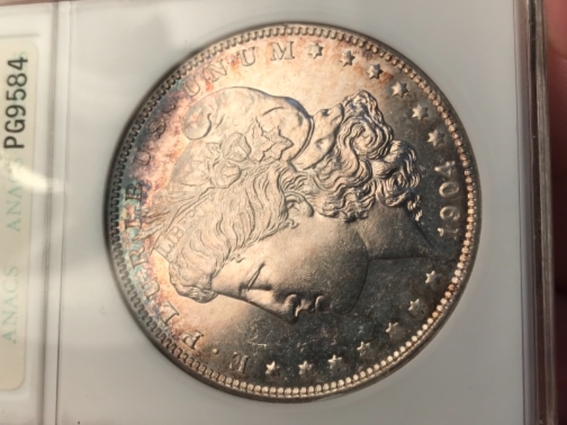 Morgan-Silver-Dollar-You-Vs-TPG