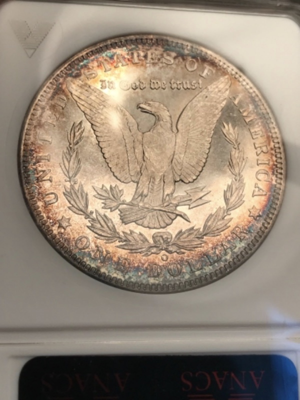 Morgan-Silver-Dollar-You-Vs-TPG