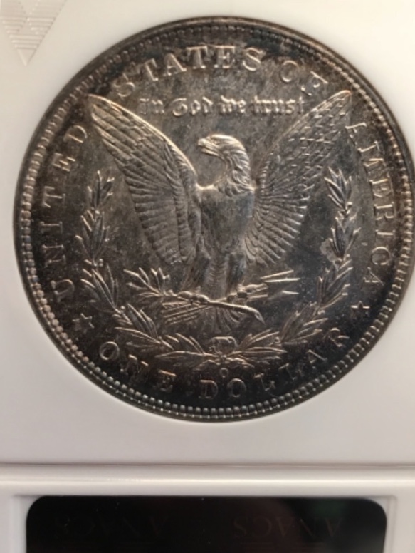 Morgan-Silver-Dollar-You-Vs-TPG
