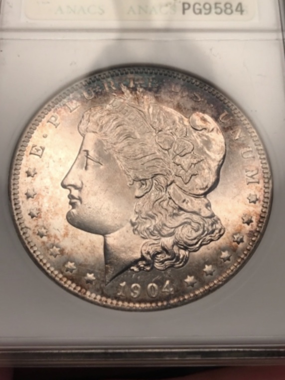 Morgan-Silver-Dollar-You-Vs-TPG