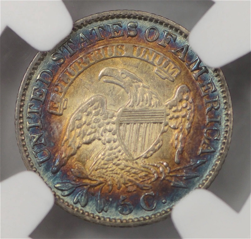 Toned-Capped-Bust-Half-Dimes-For-Grading-You-Vs-TPG