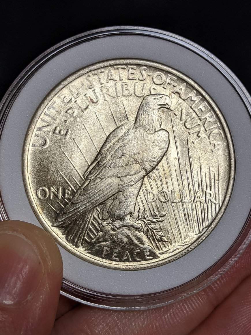 1923-Peace-Dollar-Lamination?