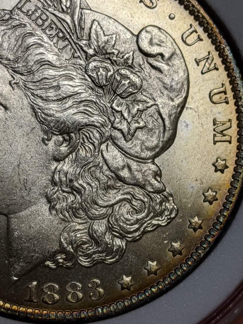1883-O-Morgan-VAM-Help