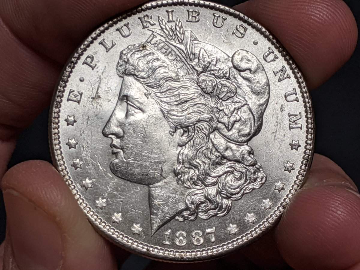 Morgan-1887-Date-In-Denticles?