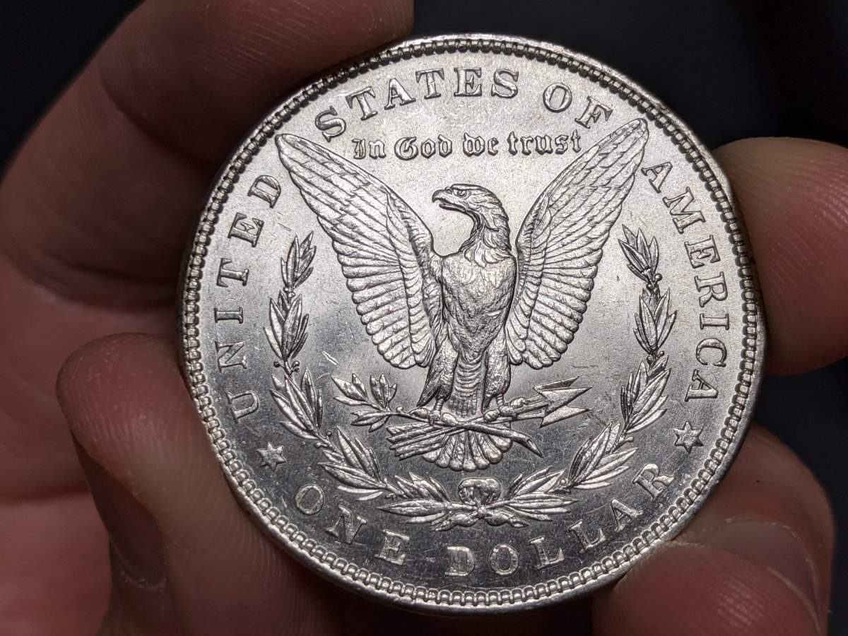 Morgan-1887-Date-In-Denticles?