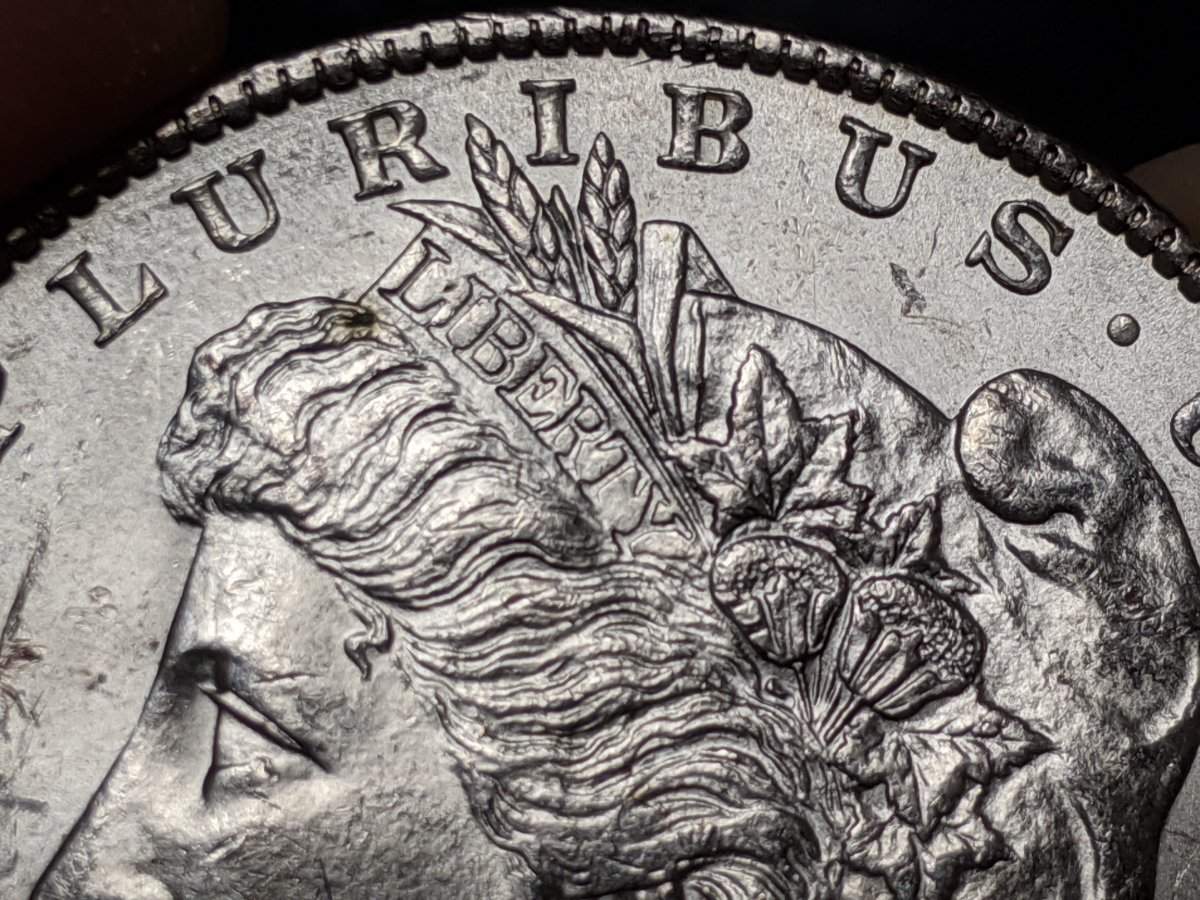Morgan-1887-Date-In-Denticles?