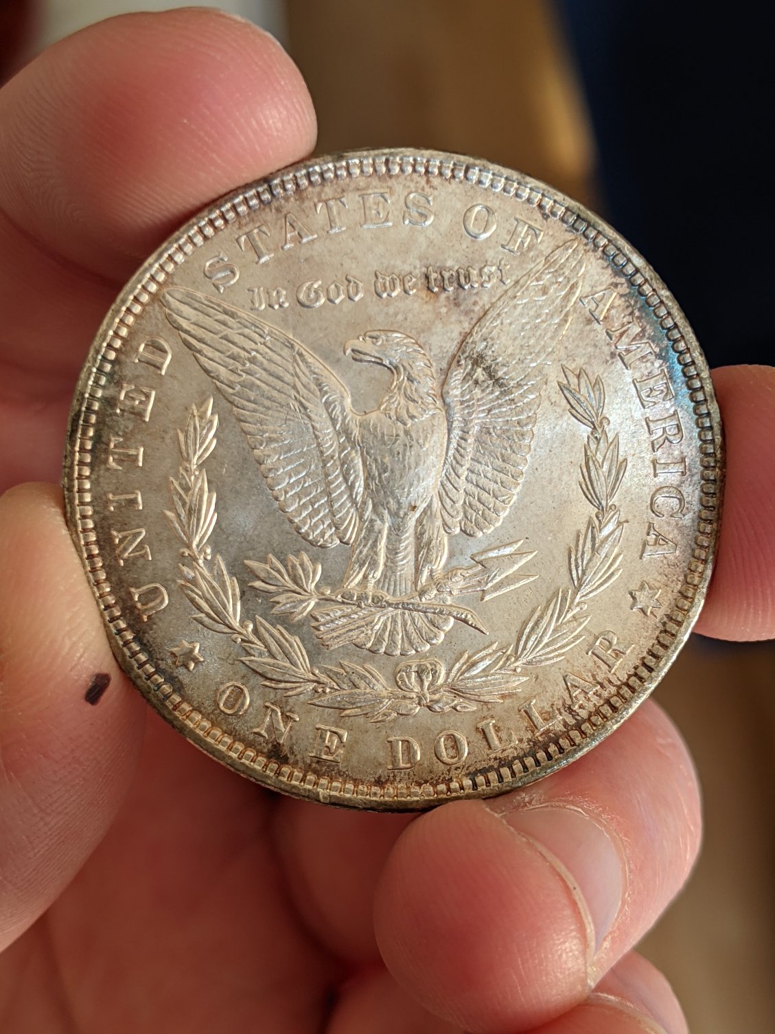 1887-Morgan-For-Grading