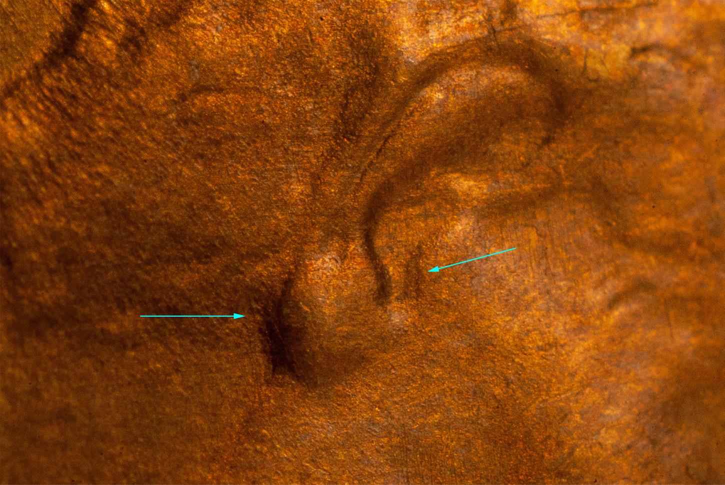 1999-Penny---Could-This-Be-A-Partial-Earlobe?