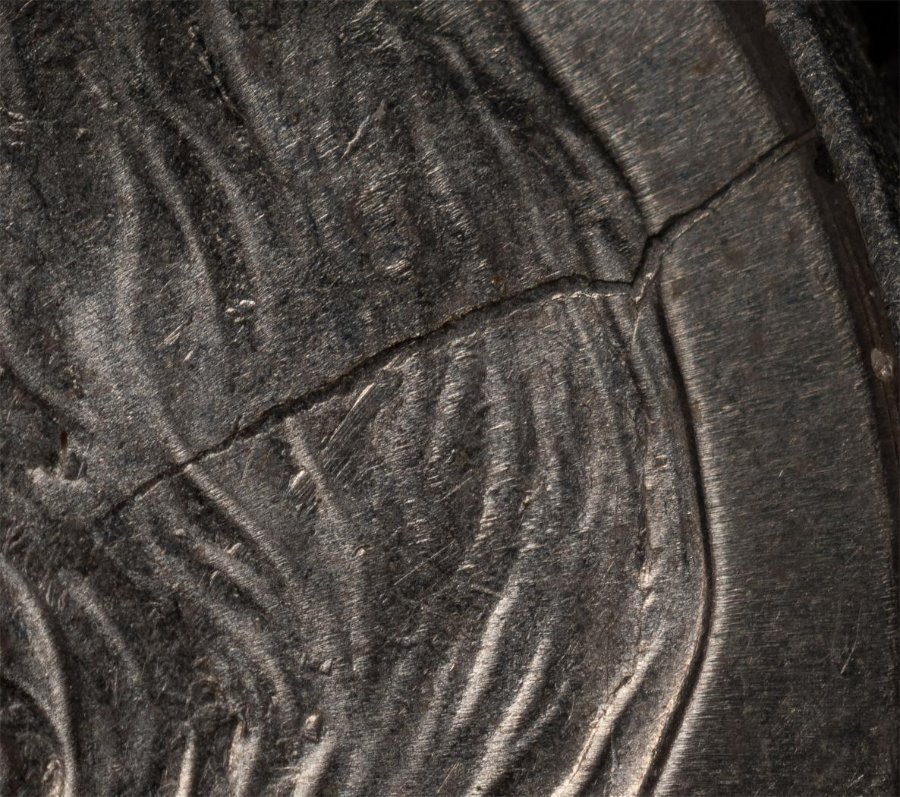 Nice-2004-Dime-Spiked-Head