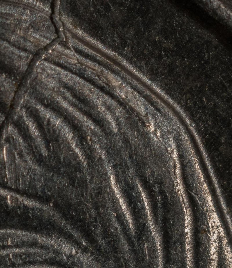 Nice-2004-Dime-Spiked-Head