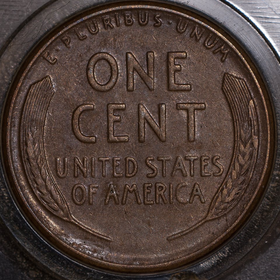 1925-S-DDO-001-,-FS-101-,-Unlisted-REV-Die-State-/-Retained-Cud