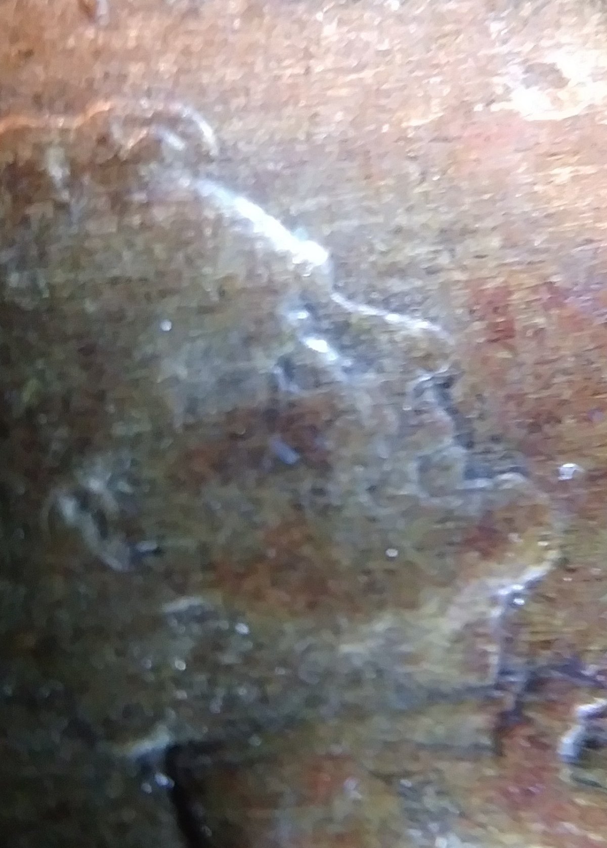 1919--Crying,-2-Faced-Lincoln-Wheat-Penny!?
