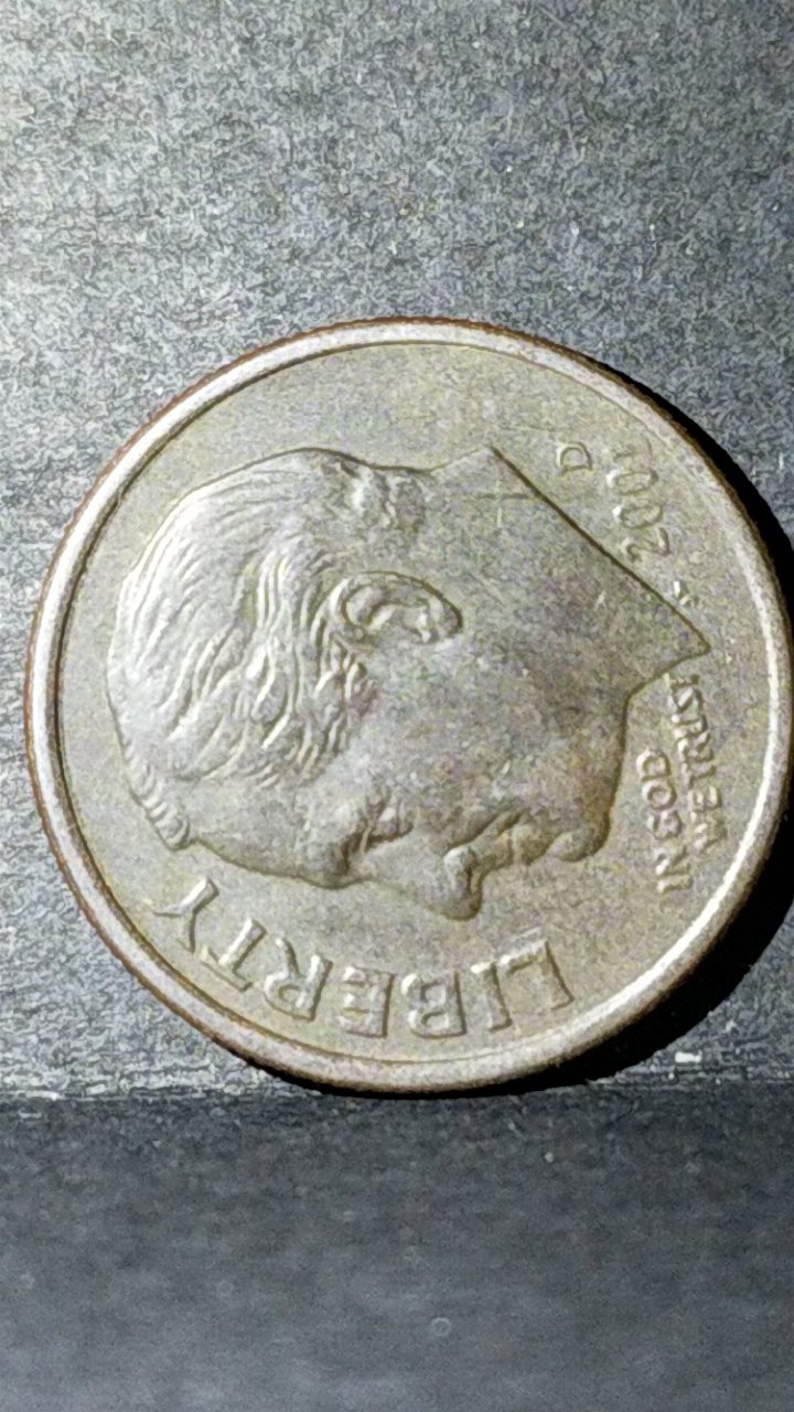 Need-Help-With-A-2001-D--No-Clad-Layer-Dime.
