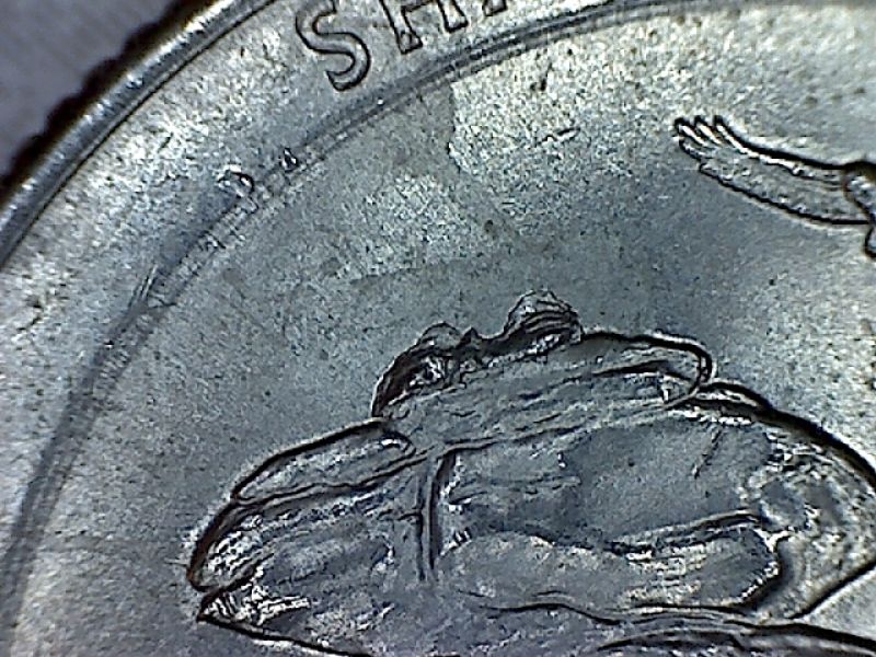 2016-Shawnee-ATB-Blob-On-Rock